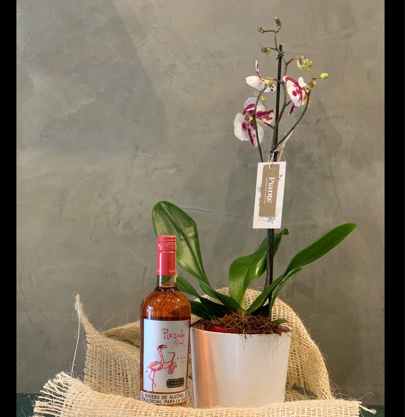 Santa Ema ST Rosado Soul+ orquídea supreme 1 espiga
